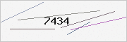 captcha verification