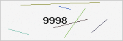 captcha verification